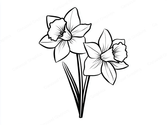 Daffodil Vector Graphic preview