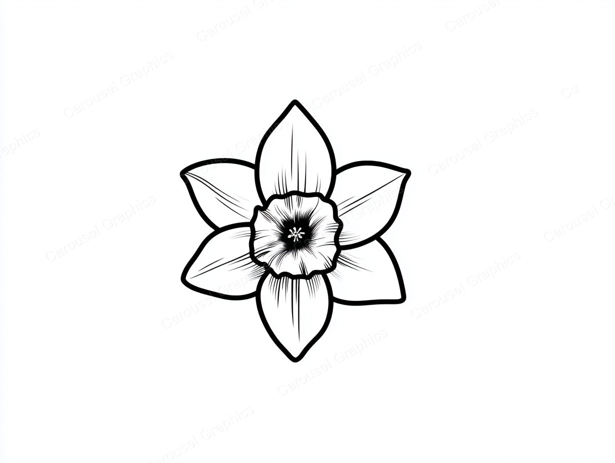 Daffodil Vector Graphic preview