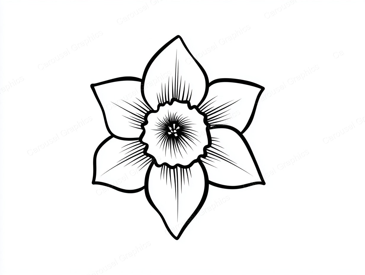Daffodil Vector Graphic preview