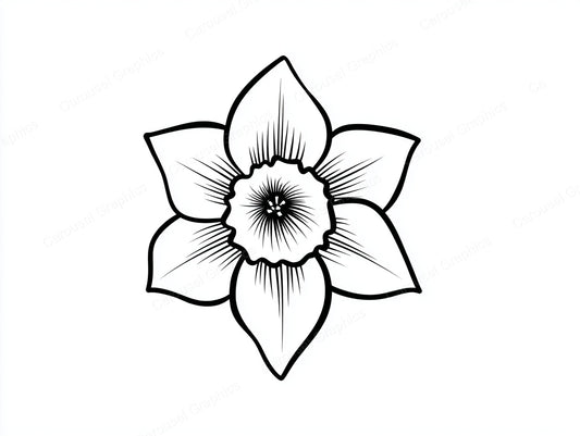 Daffodil Vector Graphic preview