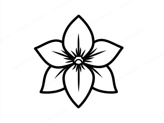 Daffodil Vector Graphic preview