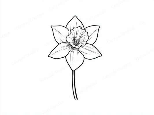 Daffodil Vector Graphic preview