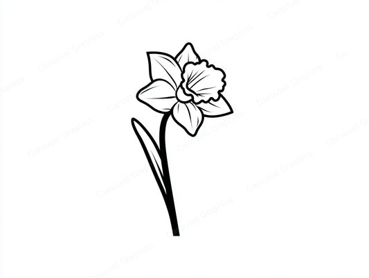 Daffodil Vector Graphic preview