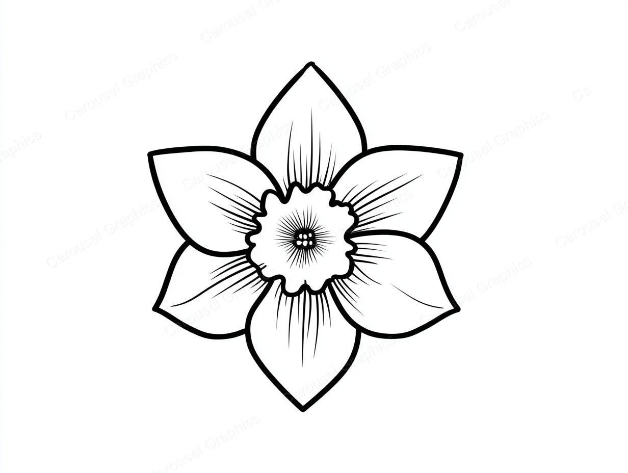 Daffodil Vector Graphic preview
