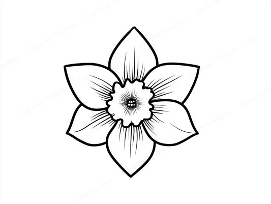 Daffodil Vector Graphic preview