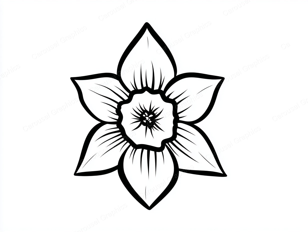 Daffodil Vector Graphic preview