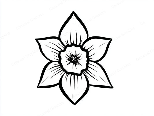 Daffodil Vector Graphic preview