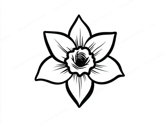 Daffodil Vector Graphic preview
