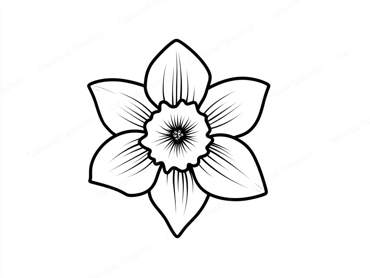Daffodil Vector Graphic preview