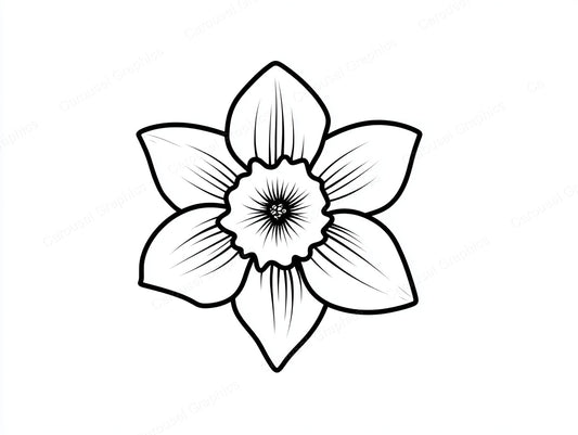 Daffodil Vector Graphic preview