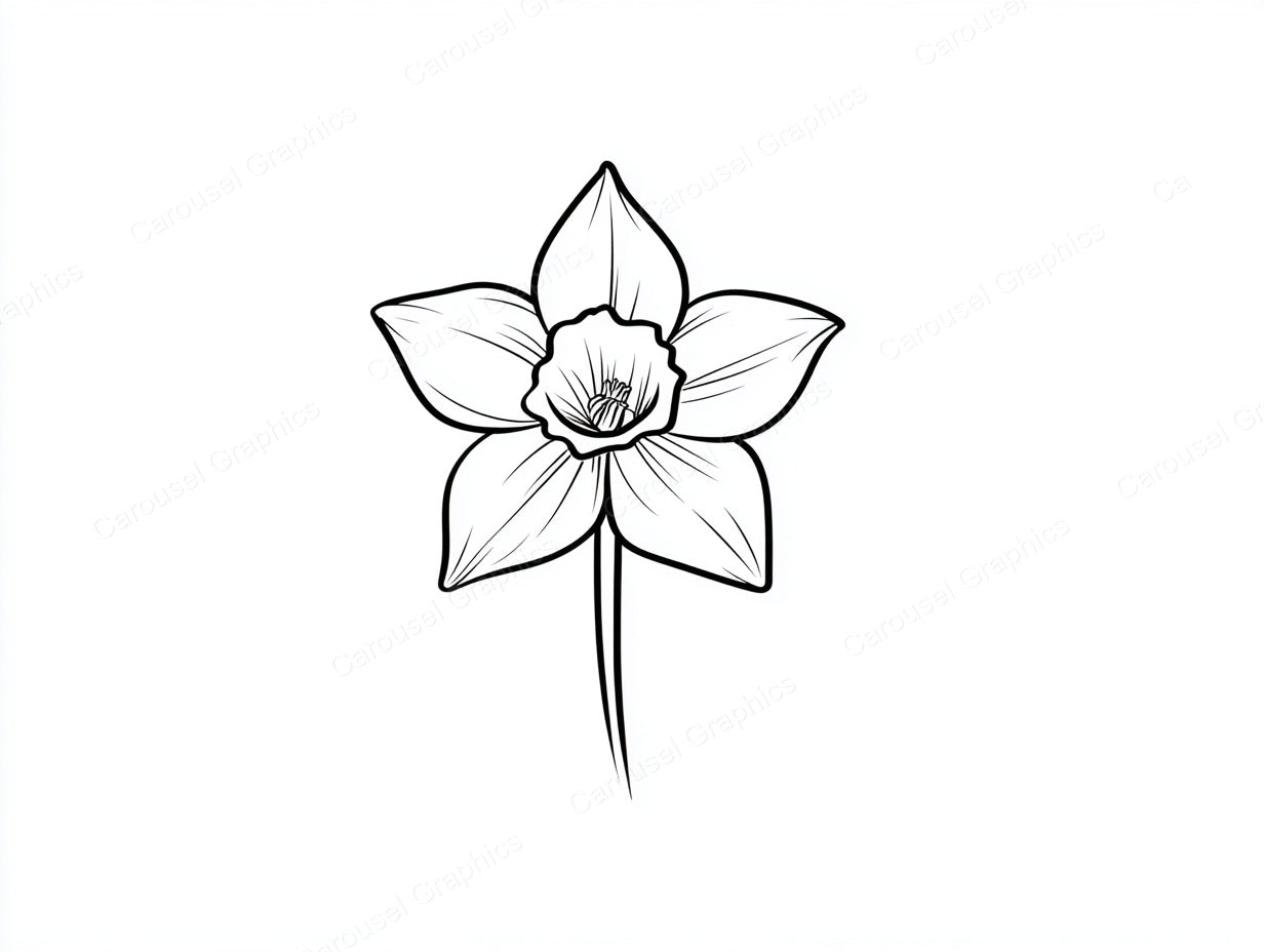 Daffodil Vector Graphic preview