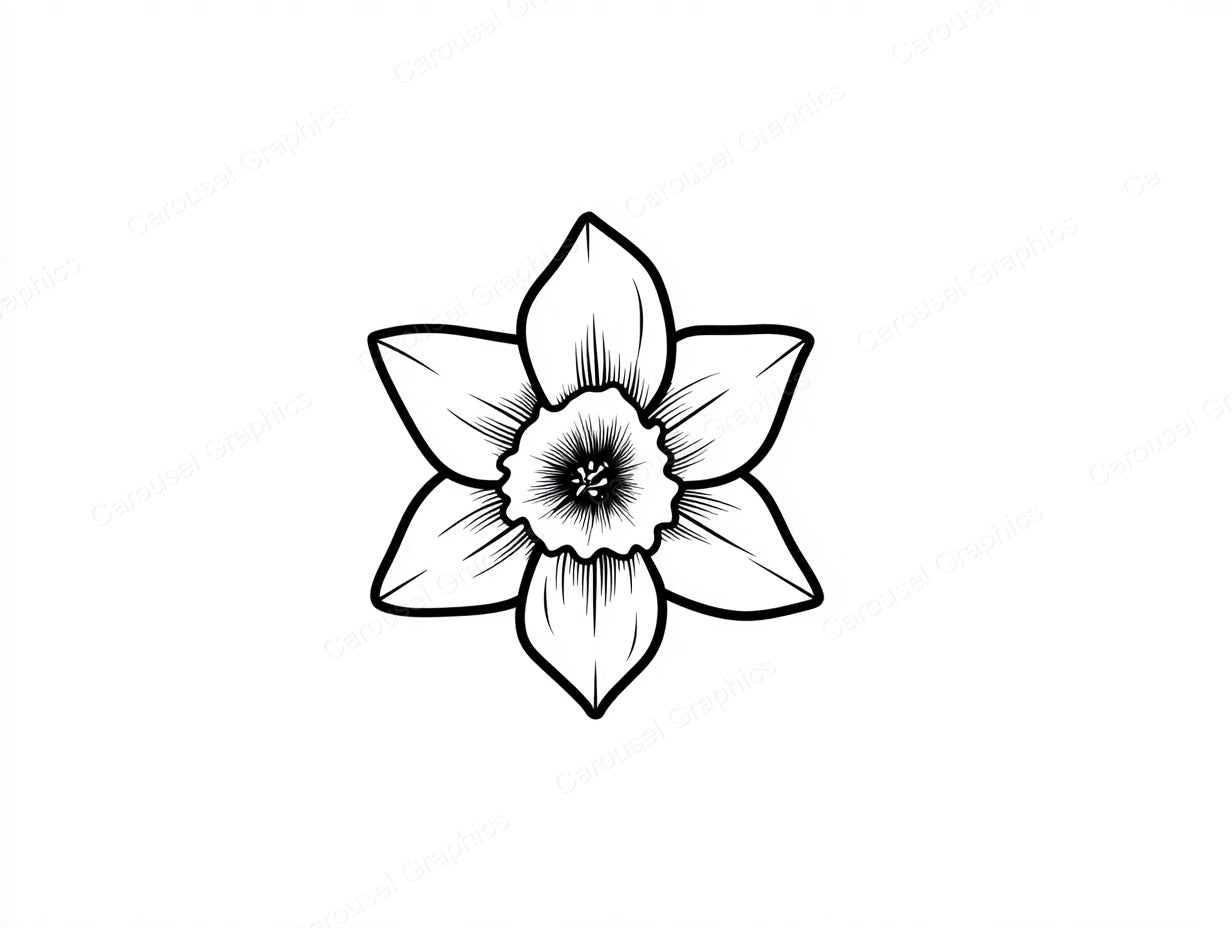 Daffodil Vector Graphic preview