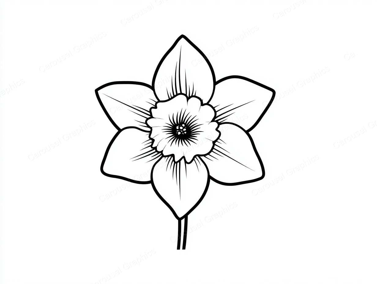 Daffodil Vector Graphic preview