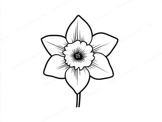 Daffodil Vector Graphic preview
