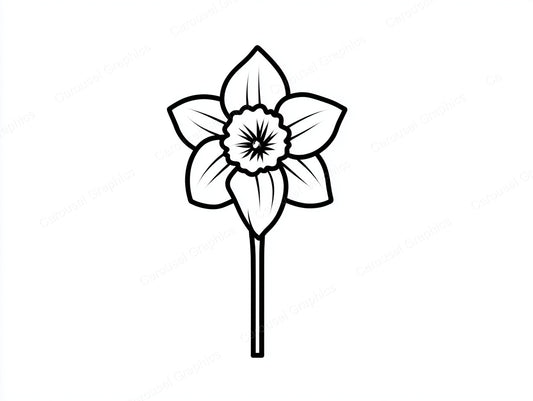 Daffodil Vector Graphic preview