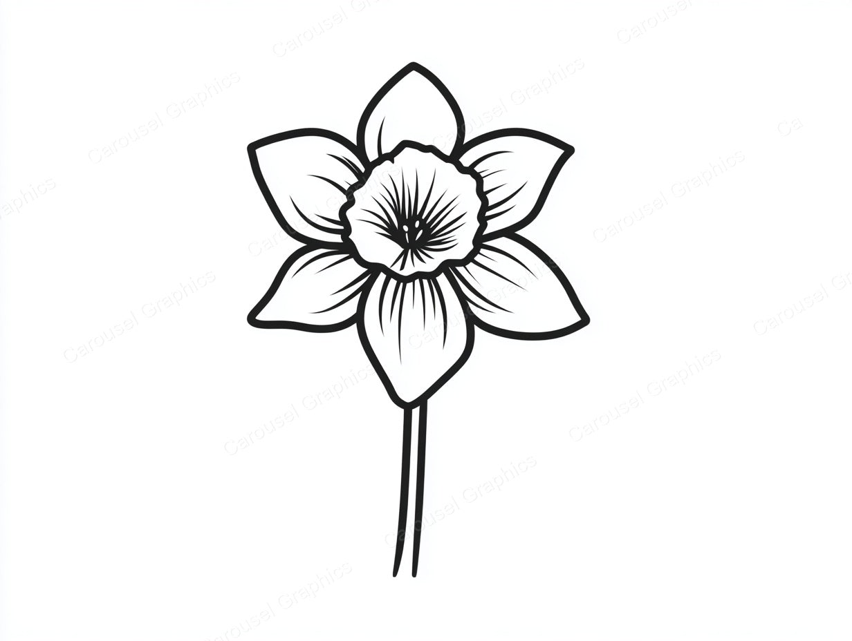 Daffodil Vector Graphic preview