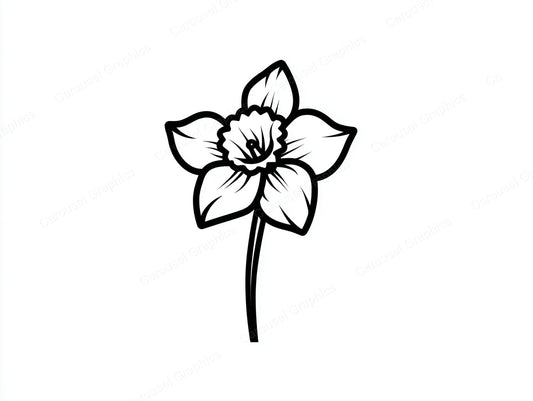 Daffodil Vector Graphic preview