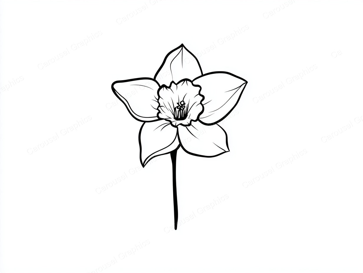 Daffodil Vector Graphic preview