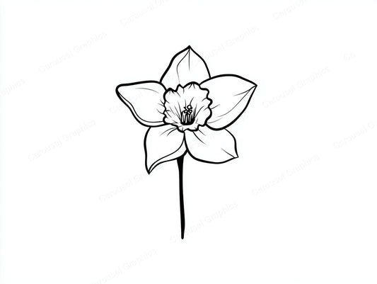 Daffodil Vector Graphic preview