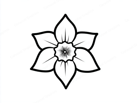 Daffodil Vector Graphic preview