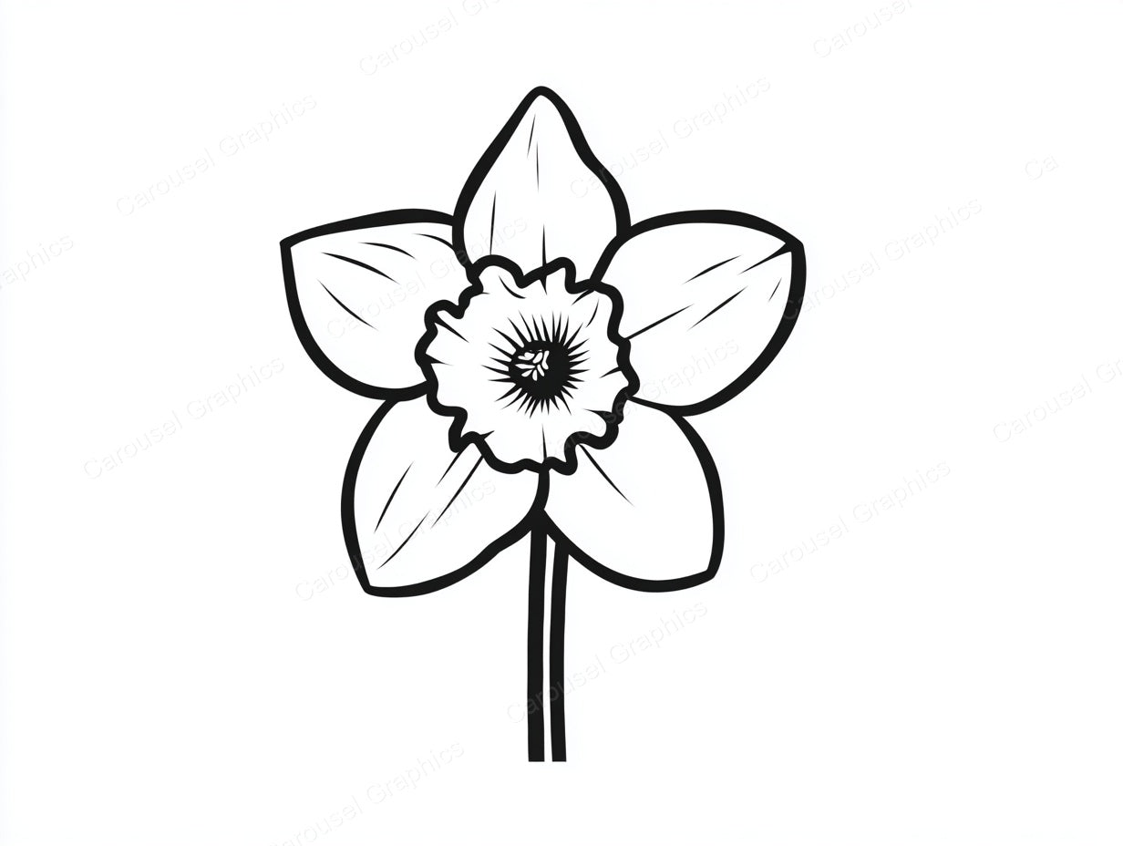 Daffodil Vector Graphic preview