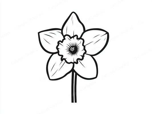 Daffodil Vector Graphic preview