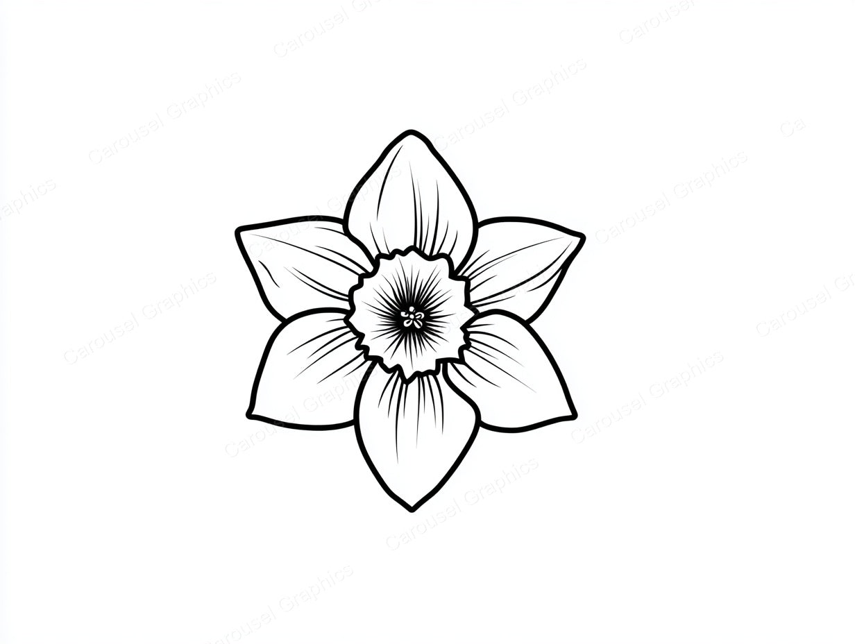 Daffodil Vector Graphic preview