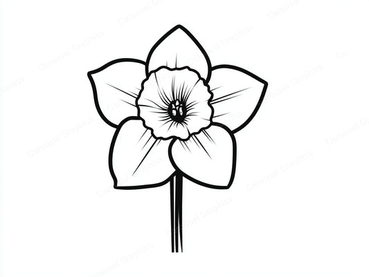 Daffodil Vector Graphic preview