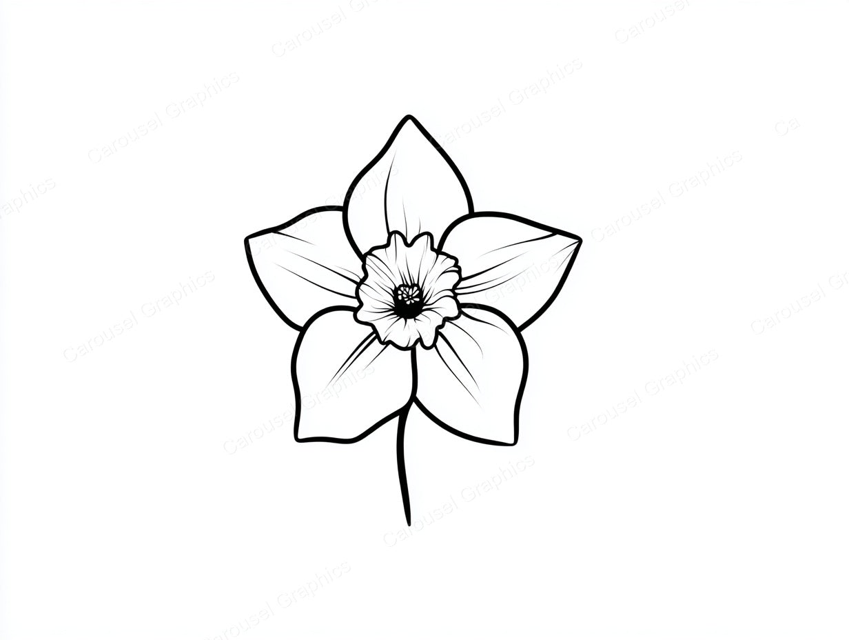 Daffodil Vector Graphic preview