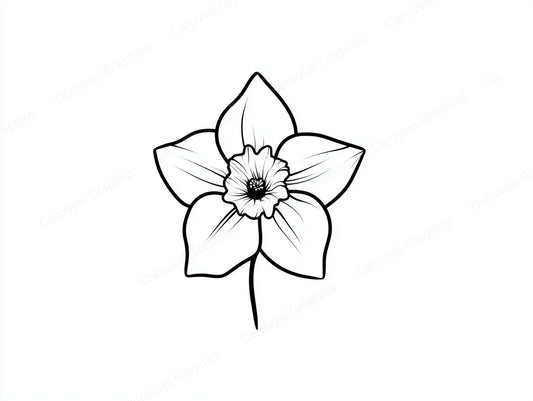 Daffodil Vector Graphic preview