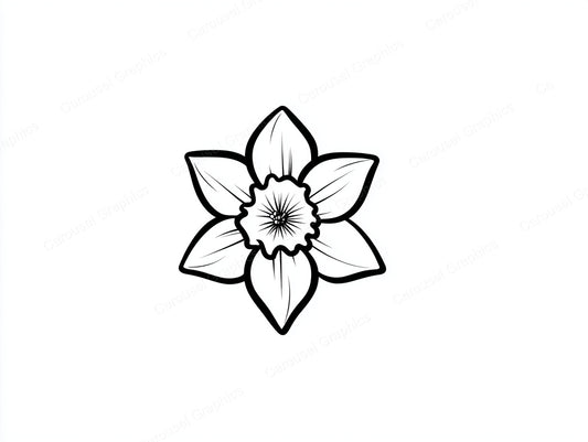 Daffodil Vector Graphic preview