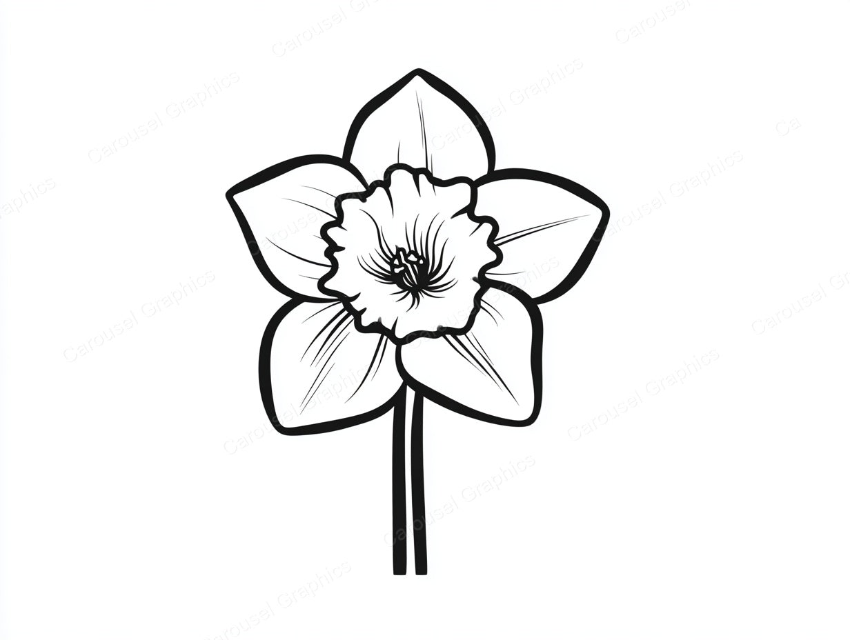 Daffodil Vector Graphic preview