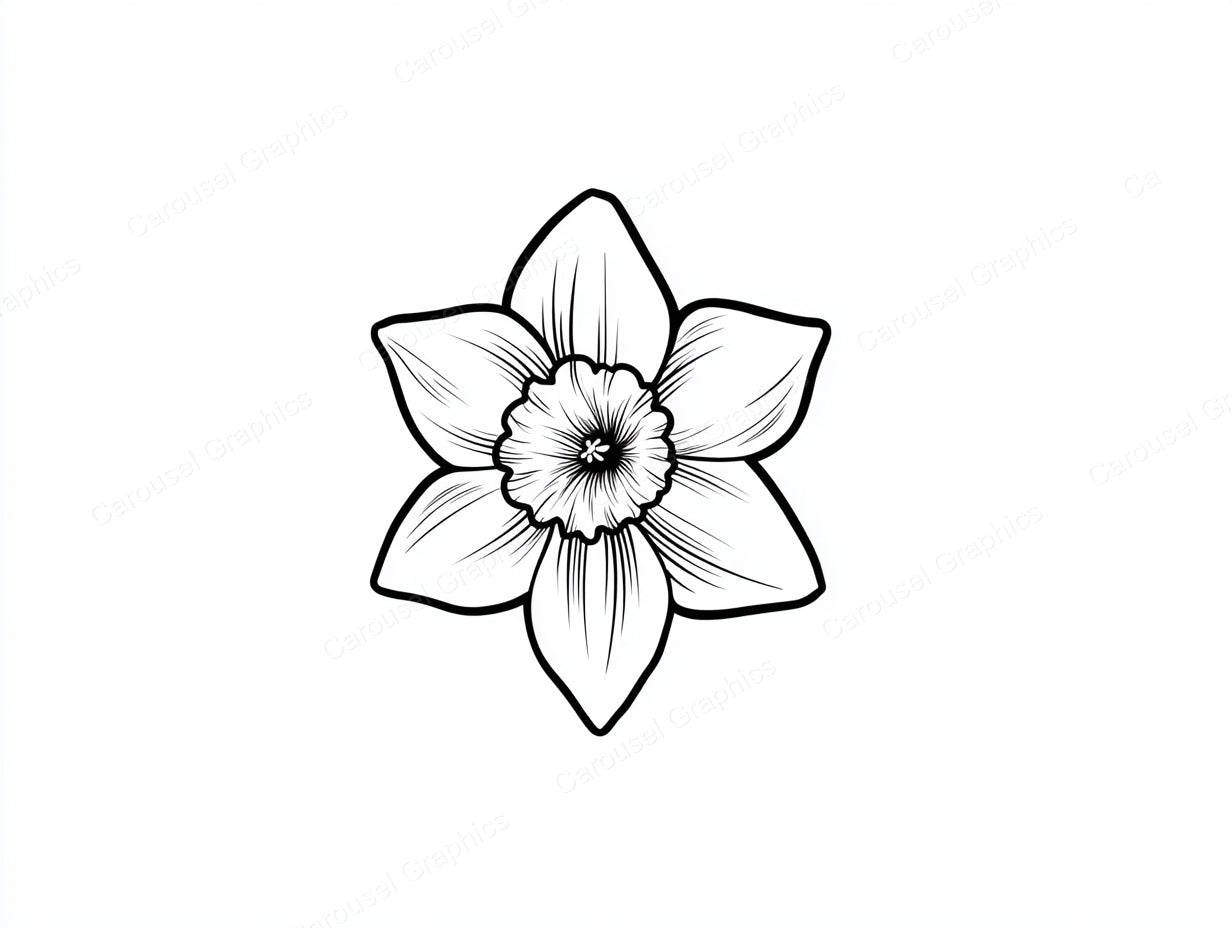 Daffodil Vector Graphic preview