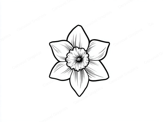 Daffodil Vector Graphic preview