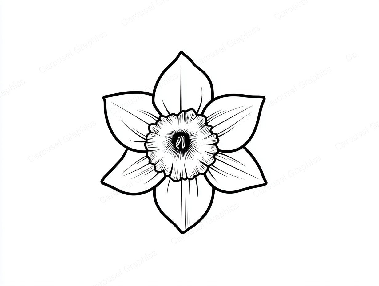 Daffodil Vector Graphic preview