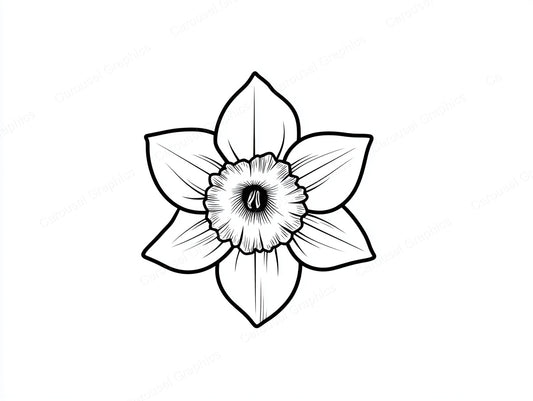 Daffodil Vector Graphic preview