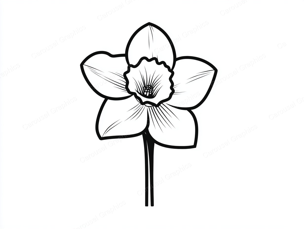 Daffodil Vector Graphic preview