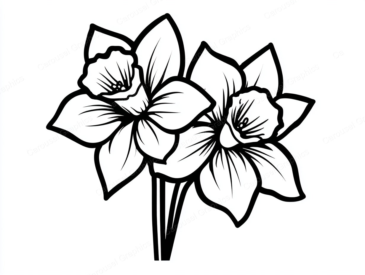 Daffodil Vector Graphic preview