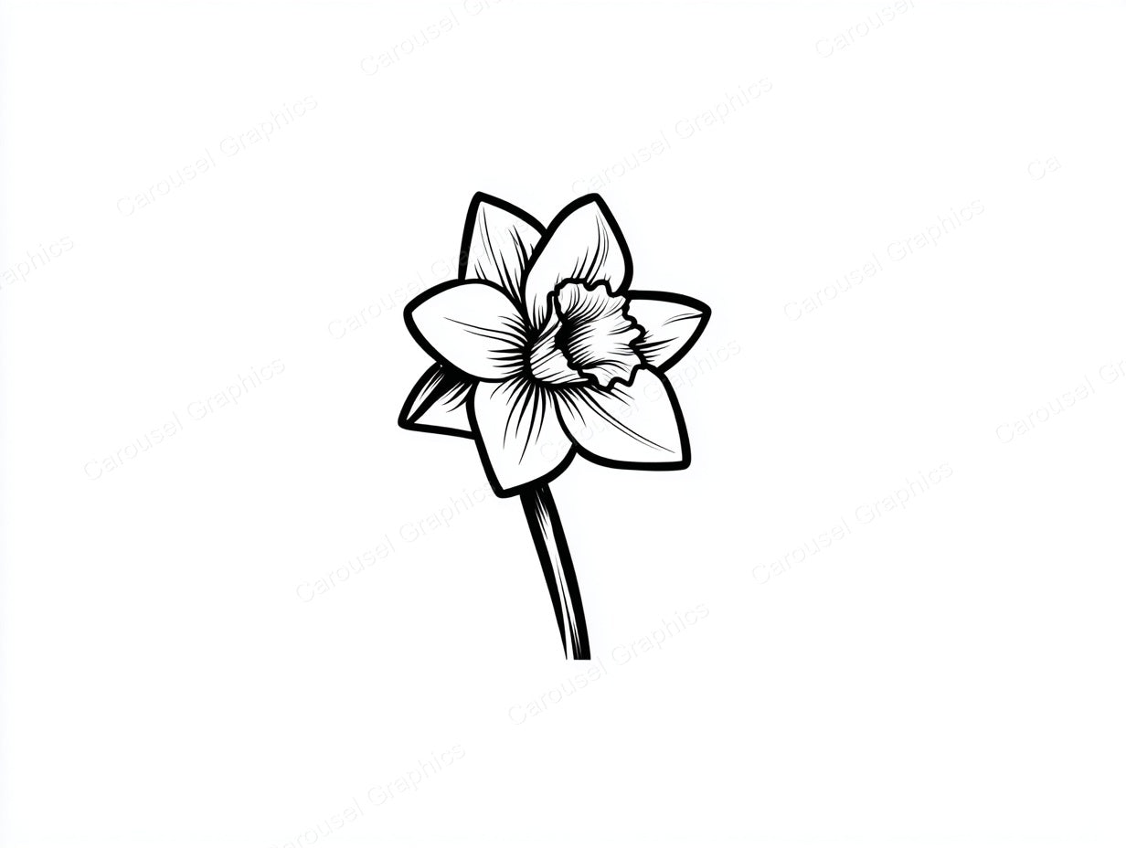 Daffodil Vector Graphic preview