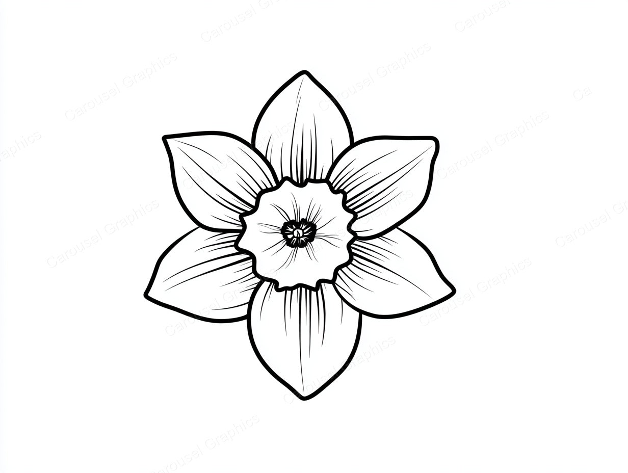 Daffodil Vector Graphic preview
