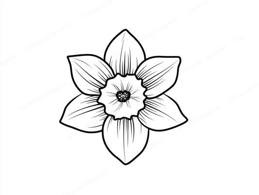 Daffodil Vector Graphic preview