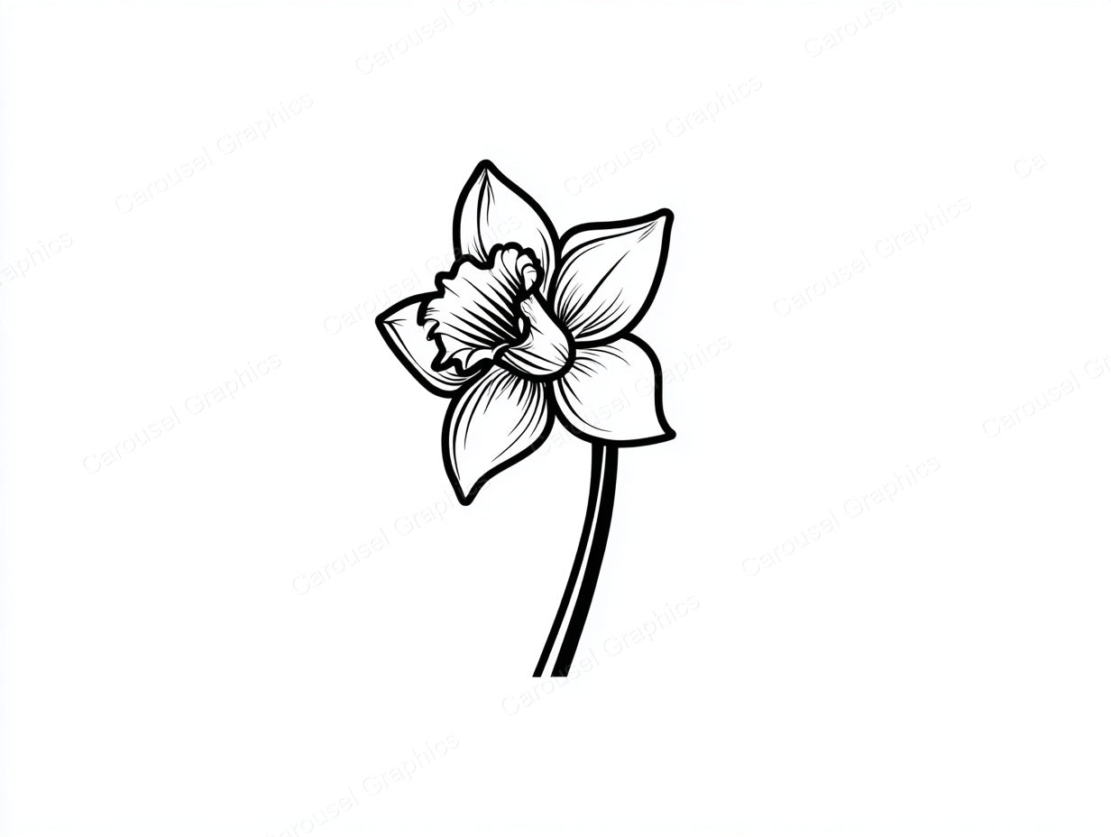 Daffodil Vector Graphic preview