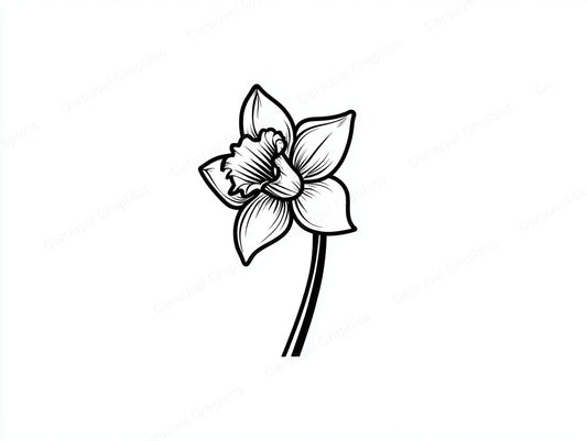Daffodil Vector Graphic preview