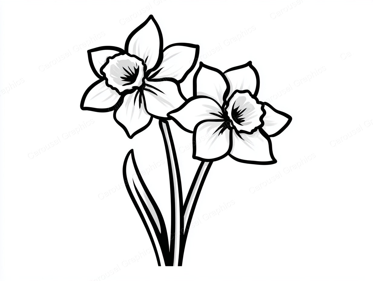 Daffodil Vector Graphic preview
