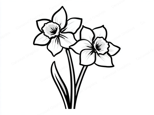 Daffodil Vector Graphic preview