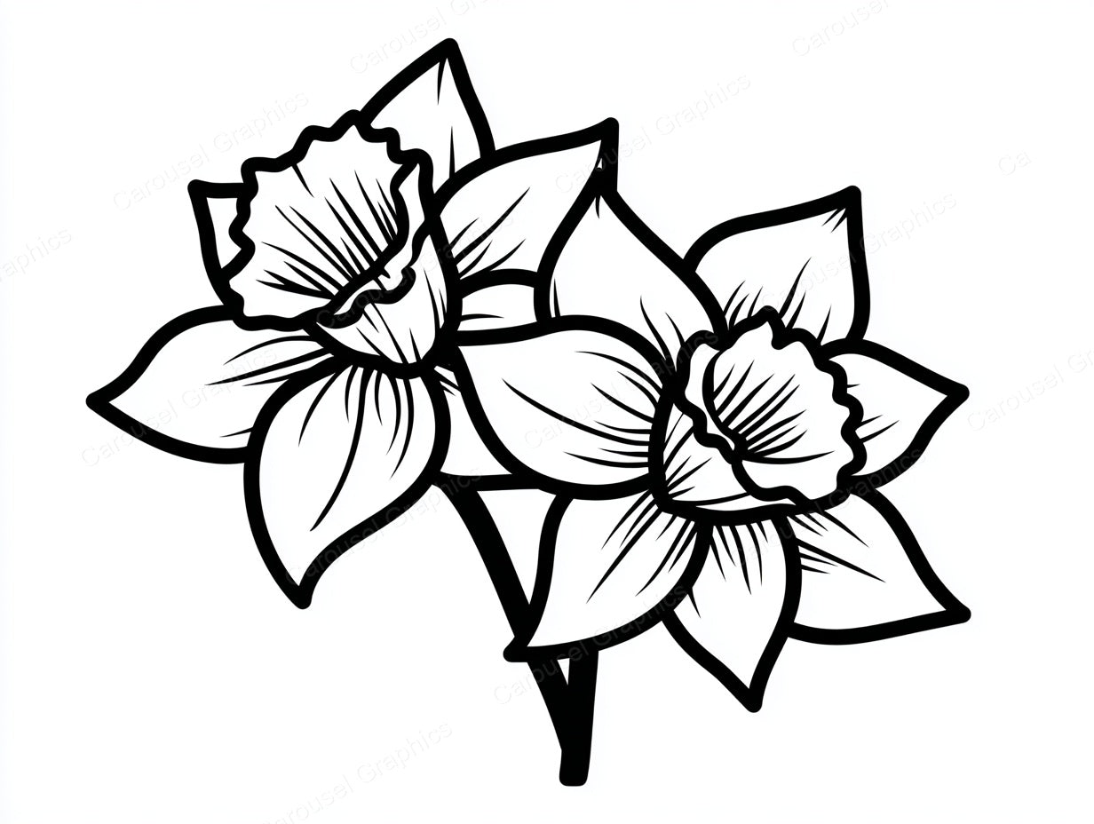 Daffodil Vector Graphic preview