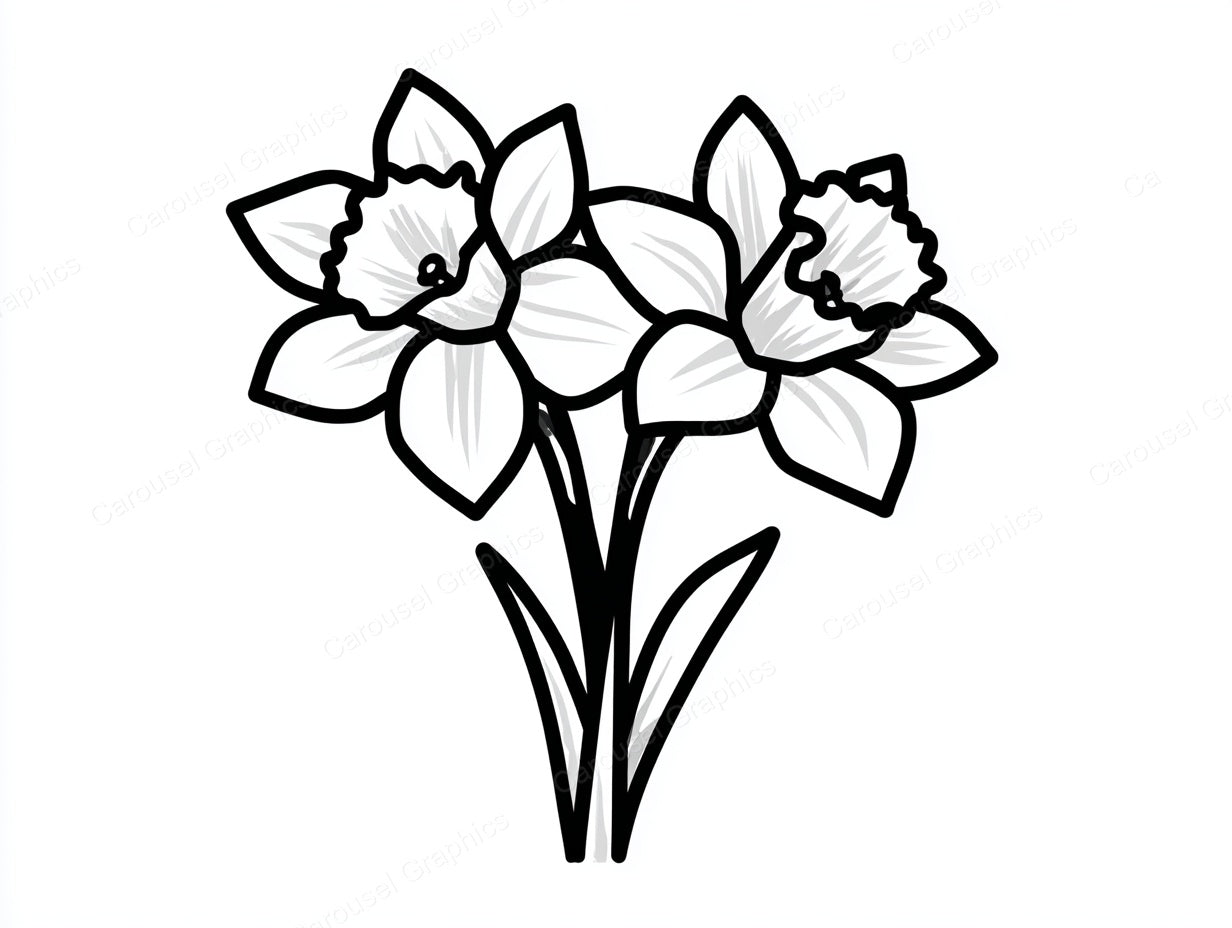 Daffodil Vector Graphic preview