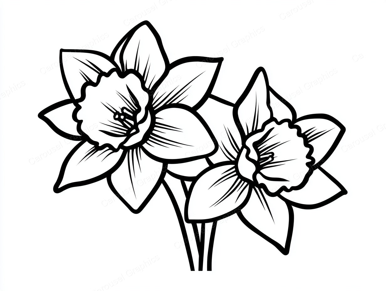 Daffodil Vector Graphic preview