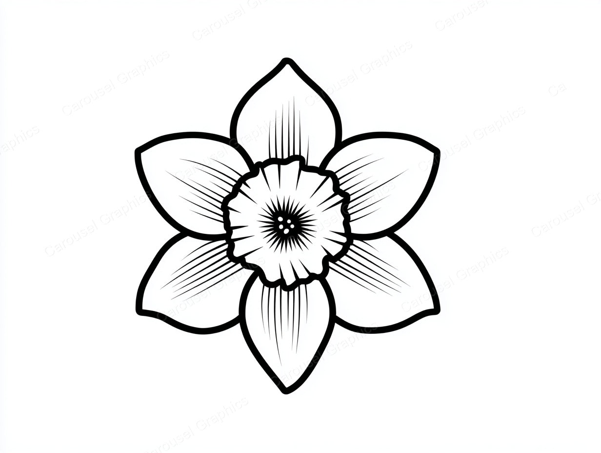 Daffodil Vector Graphic preview