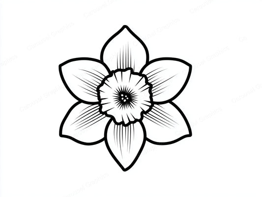 Daffodil Vector Graphic preview